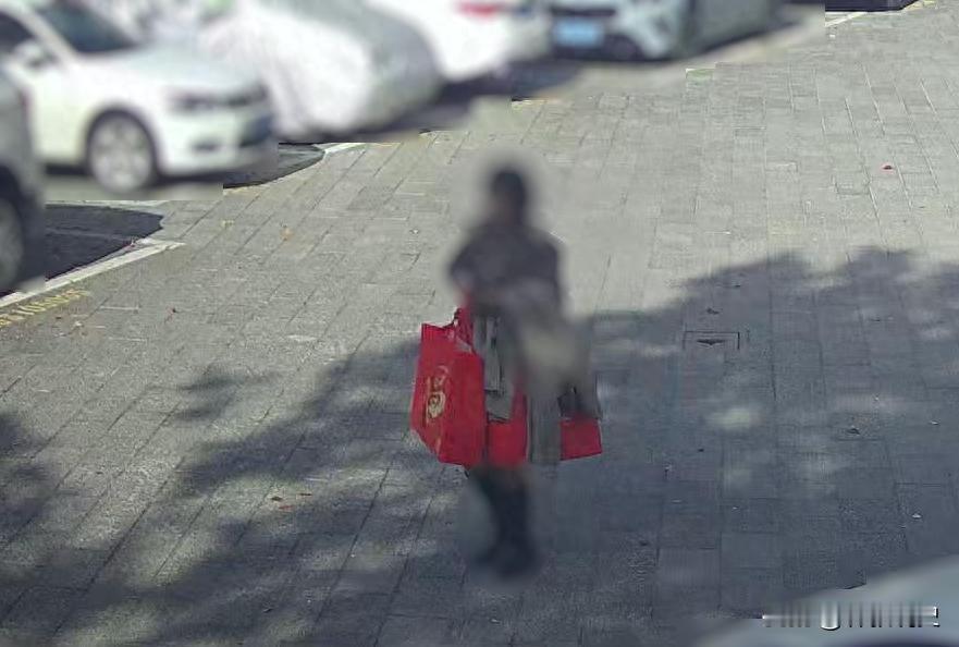 浙江一女子取出300万公司年底分红，放进一辆黑色无牌轿车，警方一路追击，两辆警车