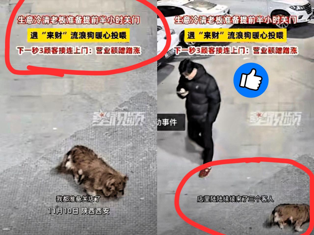 科学也解释不清了！近日陕西西安，老板看没有生意，就打算提前关门，关门时转头