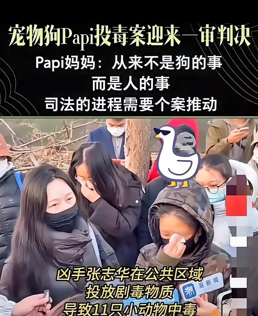 看到法院门口那一幕，​​我是真没忍住想笑。​​十几个狗主人抱团痛哭，​眼珠