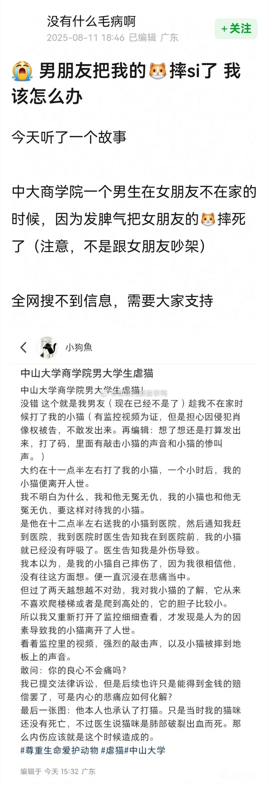 管不住自己的脾气，把女朋友的猫摔死了，真可怕🌚🌚​​​