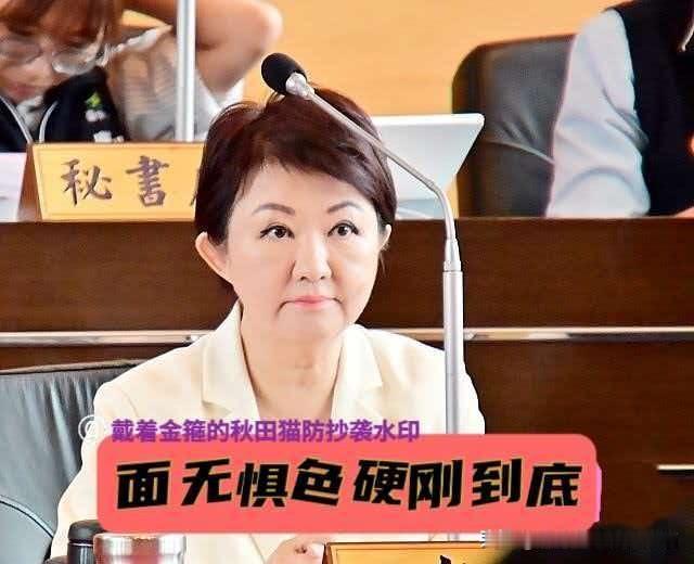 绿营包围卢秀燕反被打脸？“妈妈市长”面无惧色、硬刚到底，赖当局这次彻底现原形！