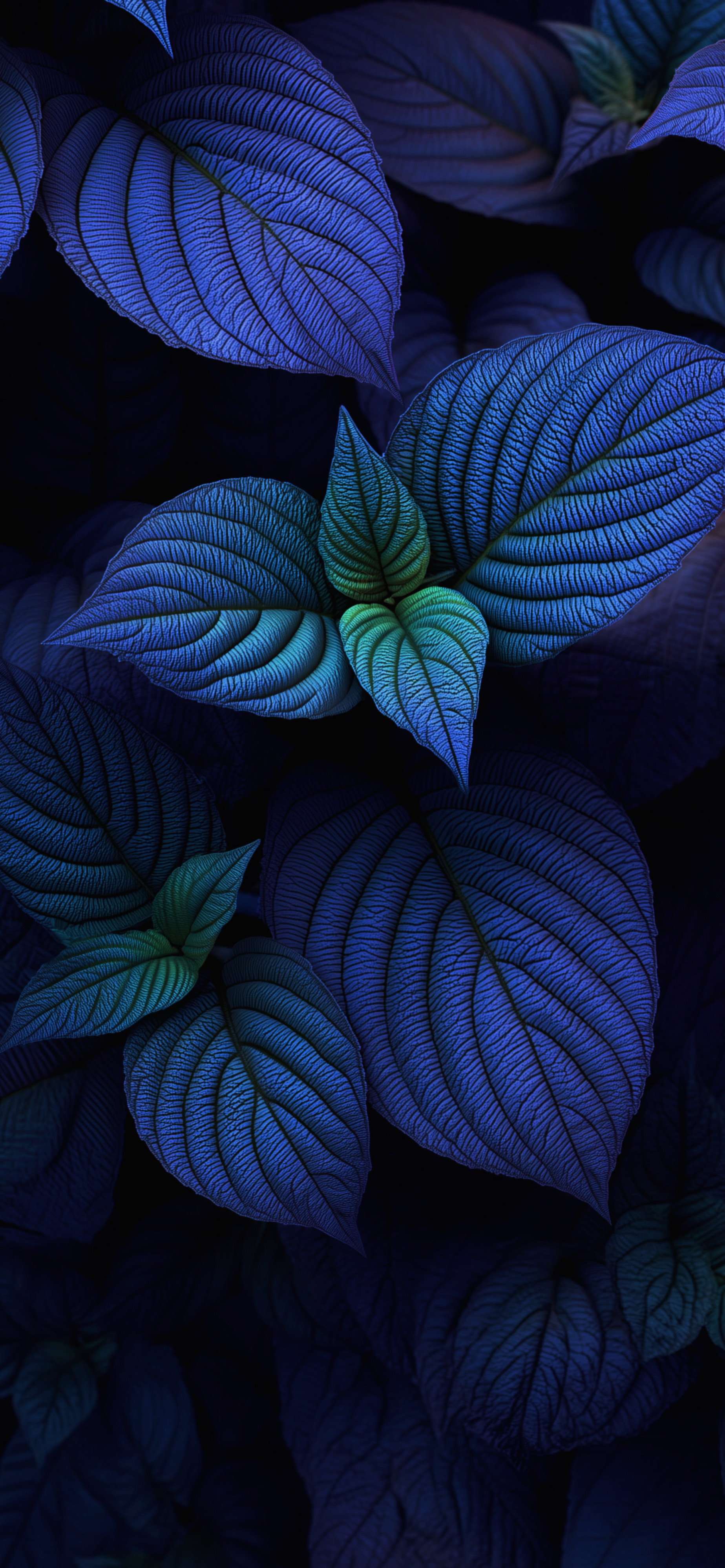 这几张壁纸，我好喜欢，目光有了栖息地。屏幕里住着一片海，或者一座森林，每一次点亮