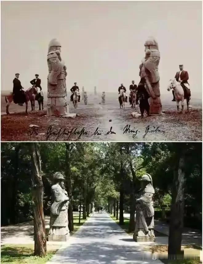 民国时候，古代也是大树成片的