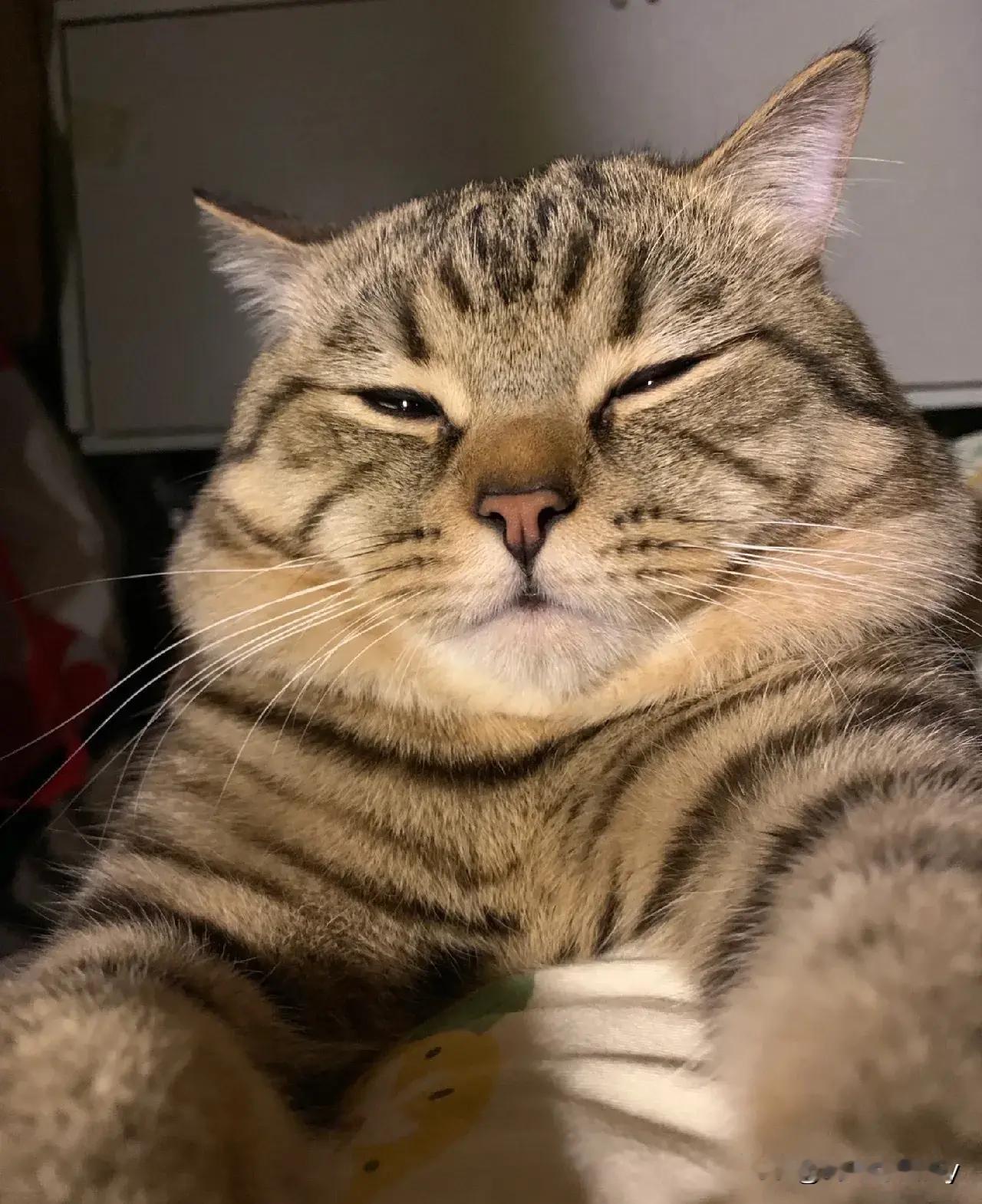 美颜前vs美颜后！