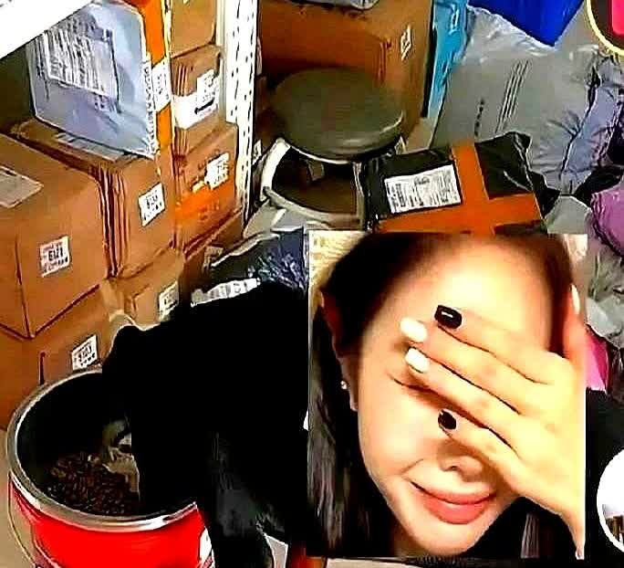 江苏一家菜鸟驿站真厉害，客户买狗不来取，滞留菜鸟驿站半个月了。好家伙，现