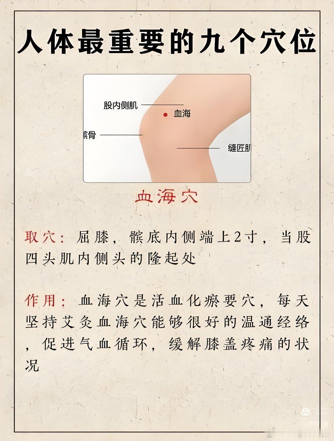世上最好的药是身体中新鲜的血液，想要一个健康的身体，要时常敲打这里，既可促生新血