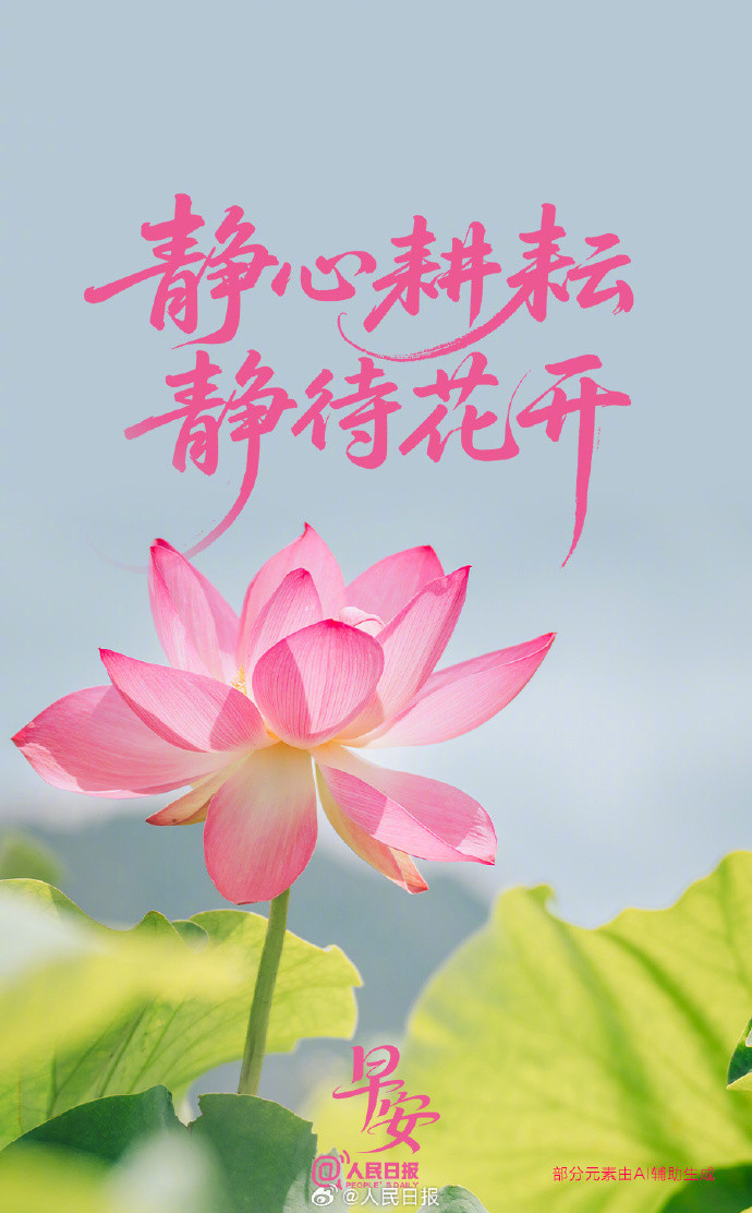 【#允许自己做一朵晚开的花#】每朵花都有自己的花期，有的夏日绽放，有的深秋盛开。