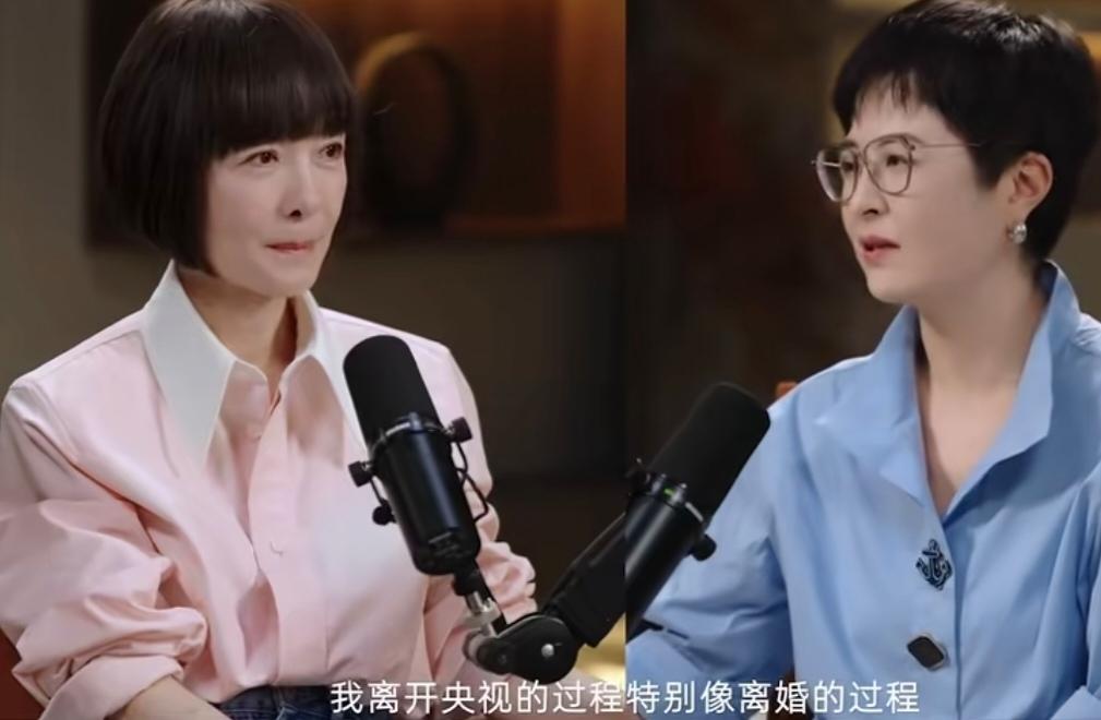 张泉灵说离开央视像离婚，说:“我还记得我几次被领导谈话，哭的稀里哗啦，我离开央视