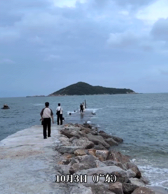 广东，一狗主人未给狗子佩戴牵引绳，就将狗子带到海边玩耍，可到海边后，这狗子竟不管