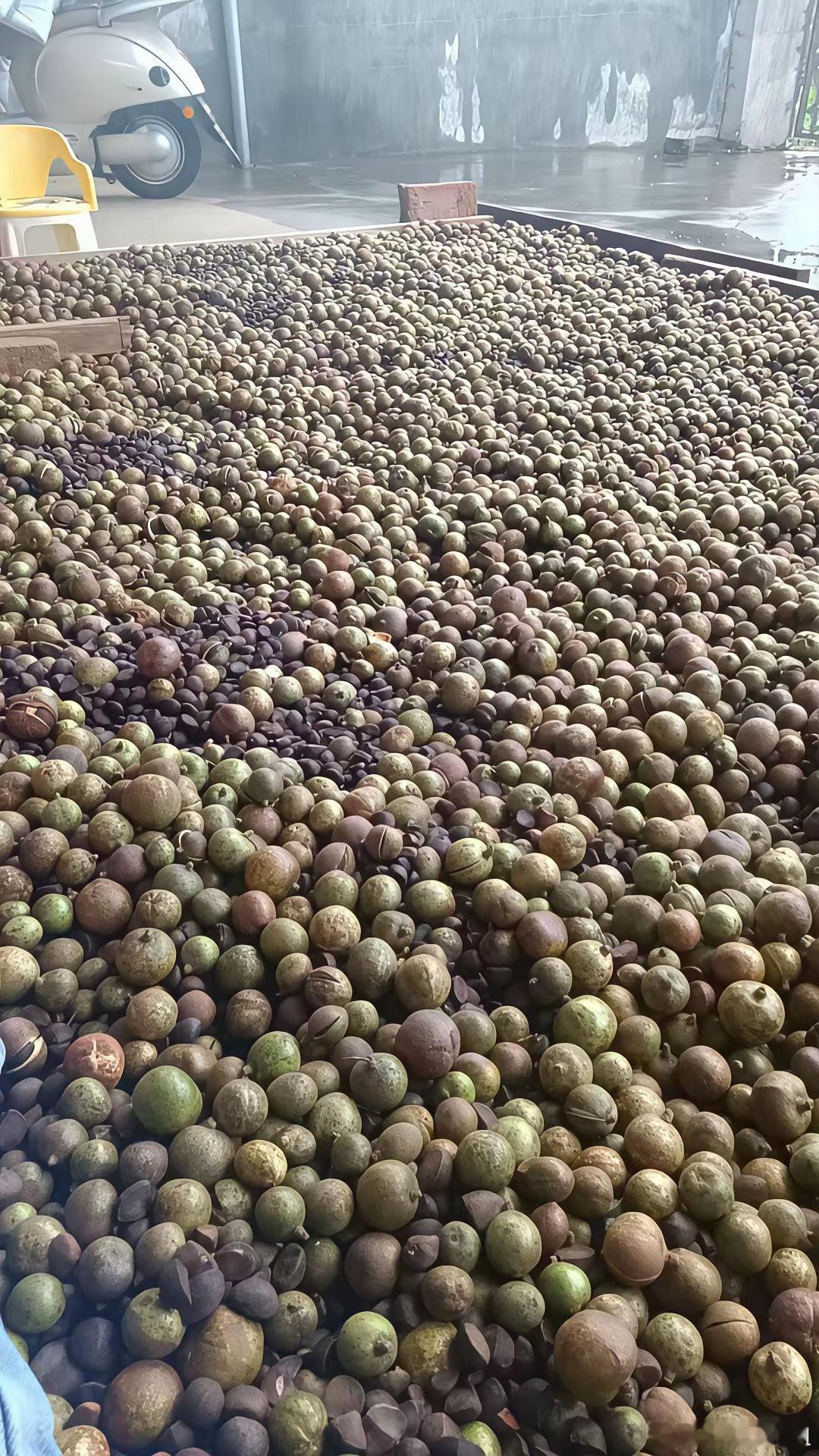 别动不动就说回农村，都认识这是什么吗？​​​