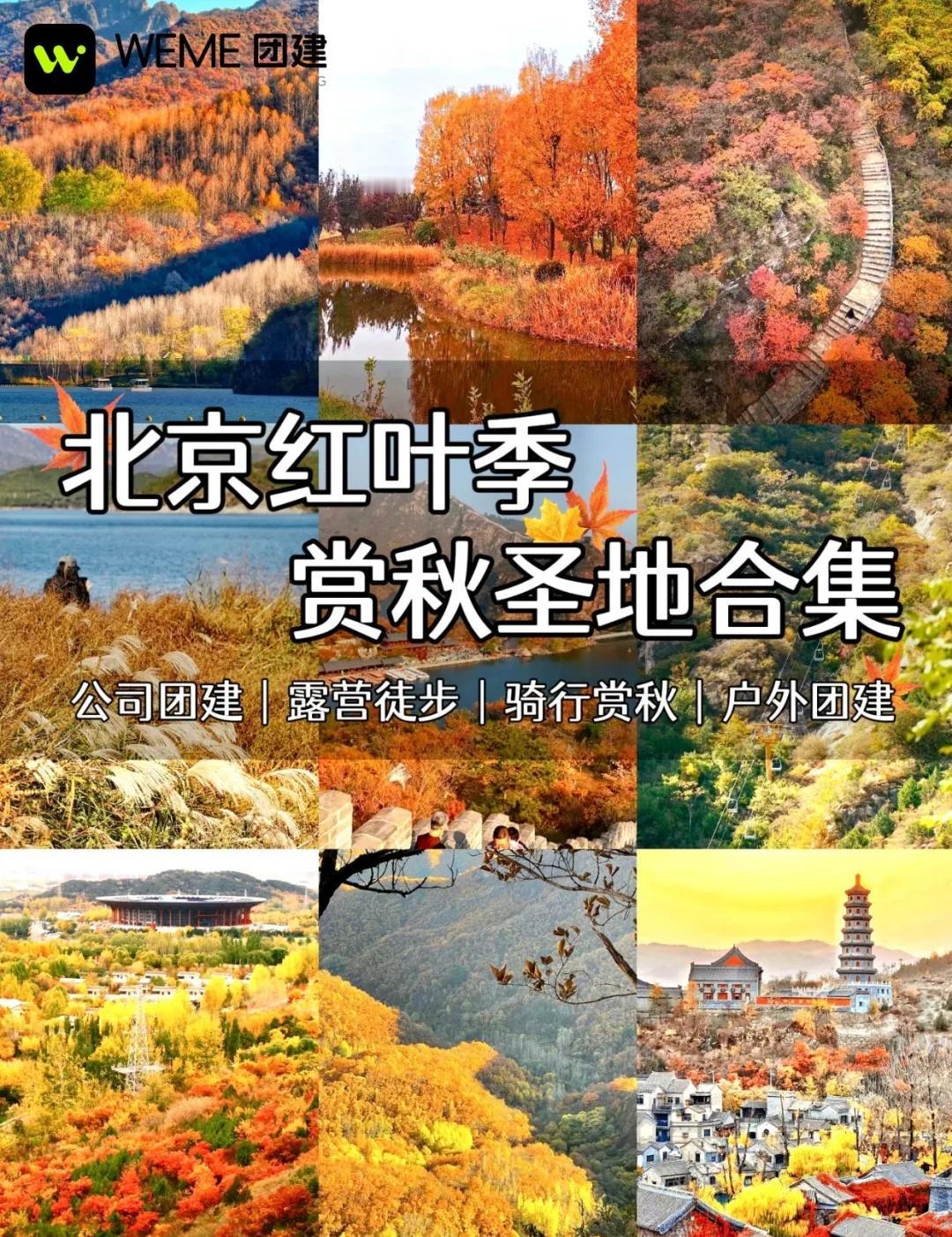 北京赏秋🍁红叶季赏秋徒步团建合集‼️北京团建|赏秋徒步团建——秋高气