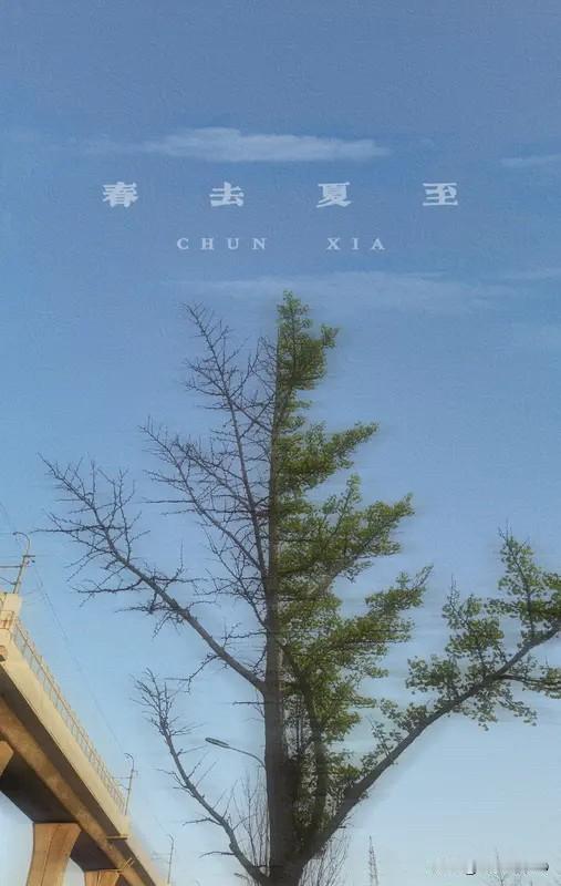 春夏时节，那真的是充满生机活力的时段啊！瞧那嫩绿的新芽从枝头冒出来，娇艳的花朵肆