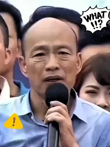 事态发展出人意料！这份提案居然高票通过，很多人都没料到近期岛内一项表决结果