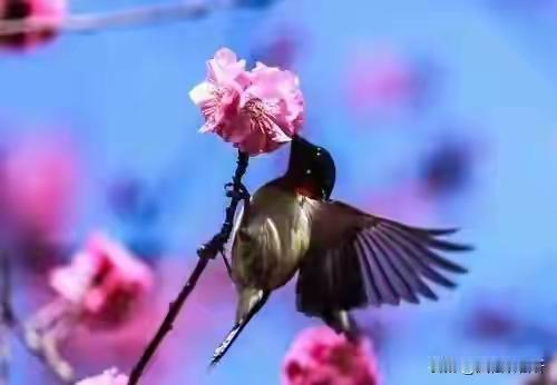 两性关系：不管你信不信，女人过50岁，都有如下7个症状，要接女人过了五十岁，是