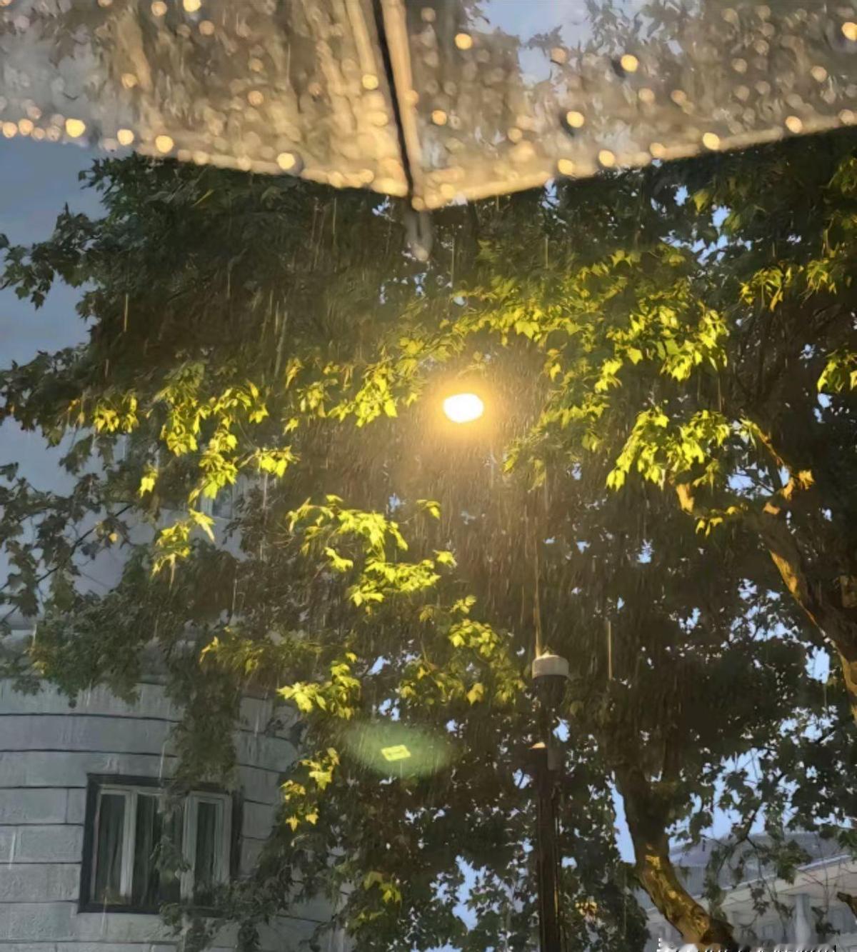 老人跟保姆处得好好的，儿子一怒之下把人给送进了养老院。结果呢？身体本来挺壮实