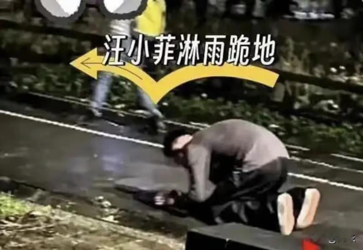 大S一生中有两个男人为她跪地祈祷，足以说明她是一个极具魅力的女人。两个男人都