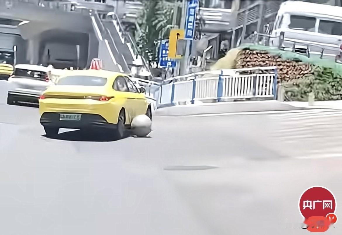 近日，重庆观音桥环岛匝道坡道上方一颗沉重的球形石墩意外松动，顺着长长的大斜坡飞速