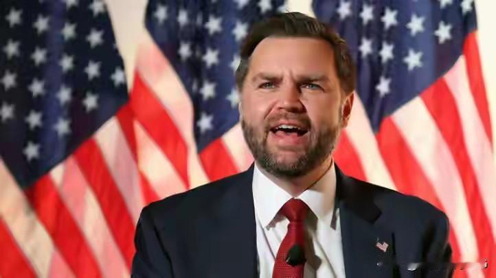 马斯克放猛料：力挺万斯2028大选接替特朗普当总统没人想到，2028年美国