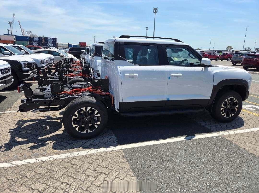 比亚迪首批“鲨鱼6”皮卡底盘于近日运抵澳大利亚，预计明年初上市发售，届时在澳大