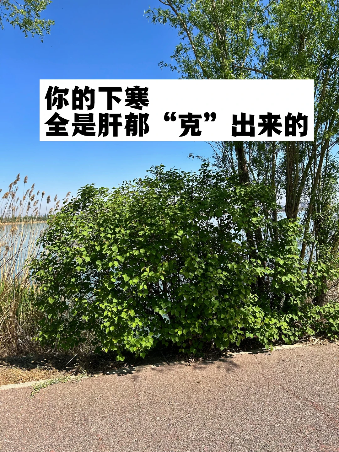 你的下寒，全是肝郁“克”出来的.