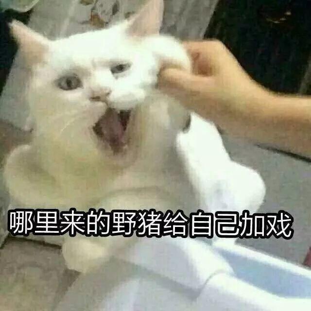 丧的网名