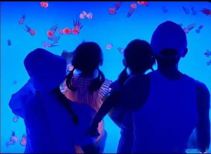 谢娜张杰晒的都是孩子背影谢娜张杰晒娃：背影、侧影、远景、打码。狗仔偷拍：全程跟拍