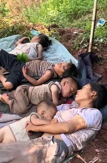 不懂就问，这样的孩子将来怎么破局？