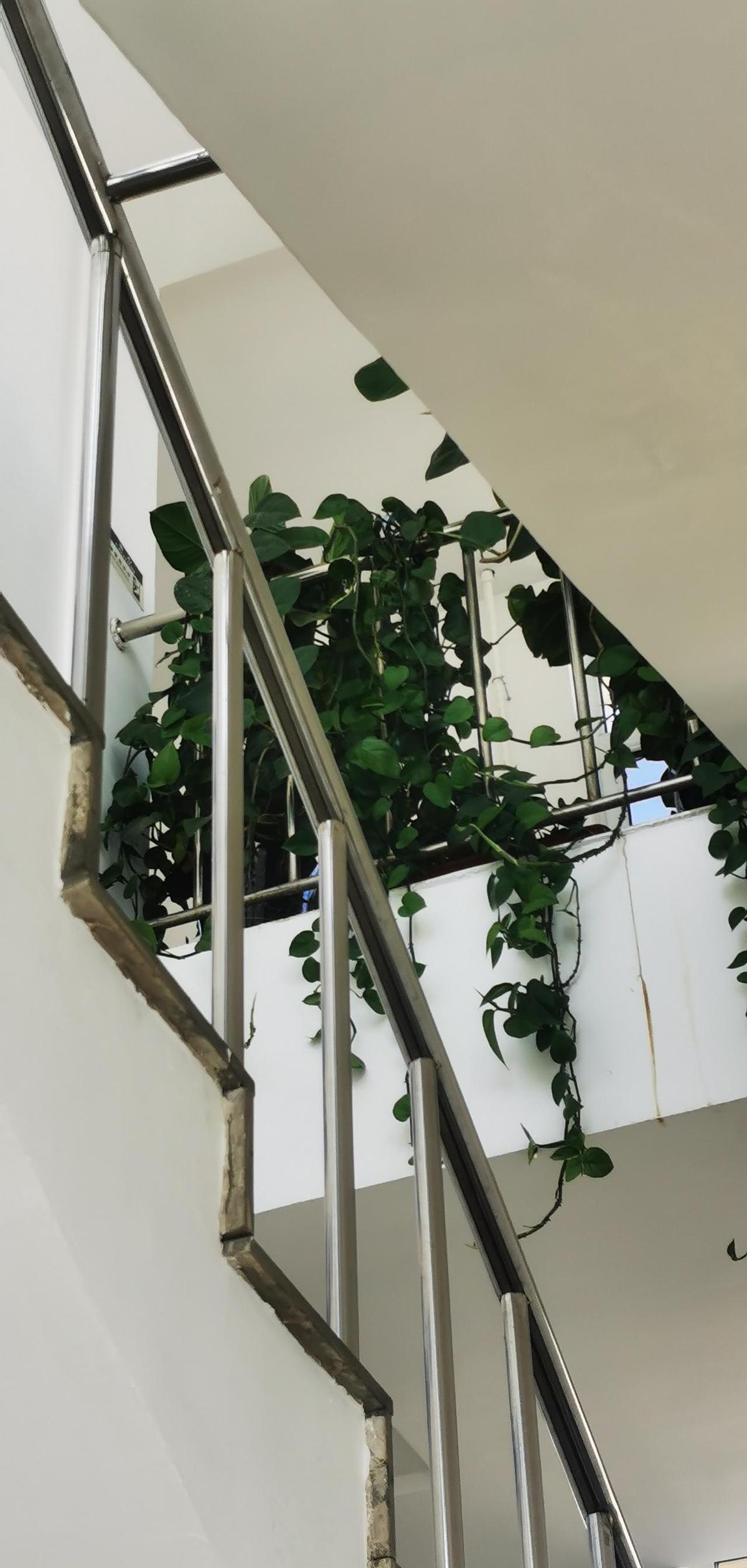 她出轨六年，他一声不吭。离婚那天，他把户口本递过去，没吵没闹。女儿跟他姓，他