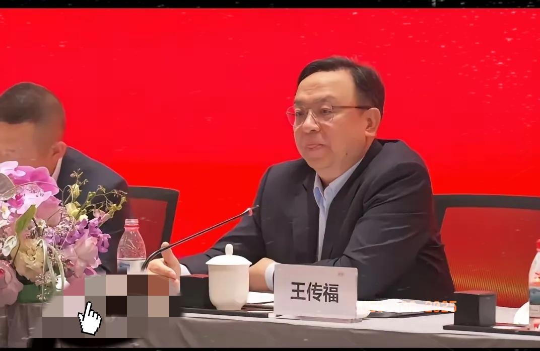 能力越大责任越大，比亚迪总裁王传福在股东大会再度哽咽：“我们现在已经是龙头企业，