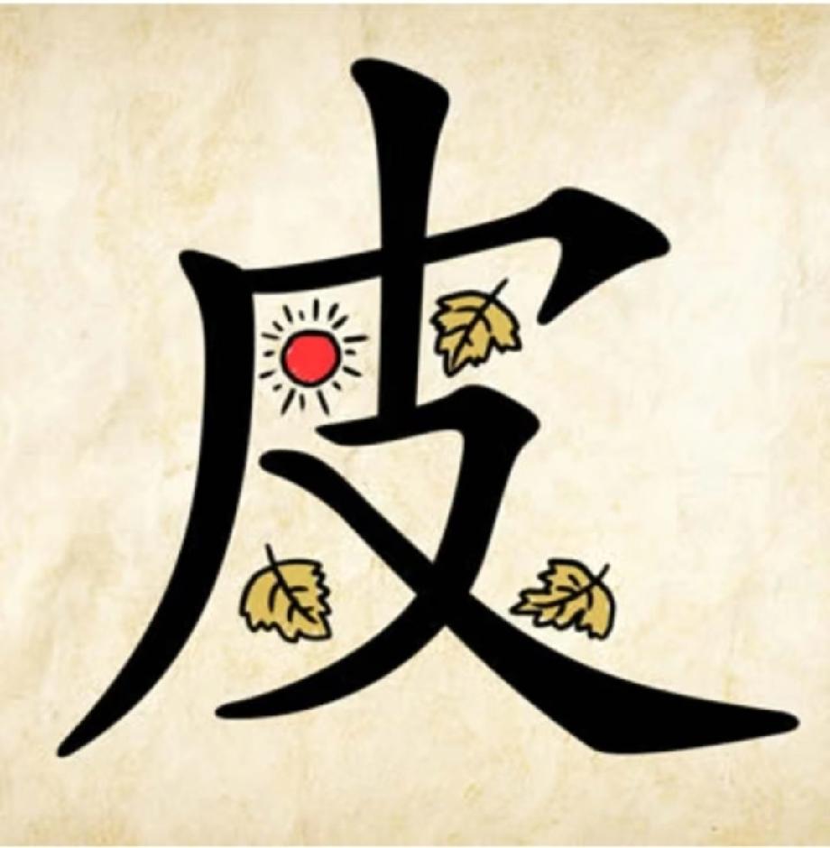 懵了！这张“皮”字图的成语谜题，99%的人都想不到谜底！