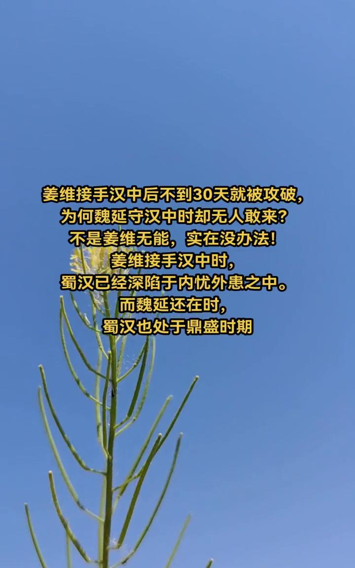 姜维接手汉中后不到30天就被攻破，为何魏延守汉中时却无人敢来？不是姜维无能，实在