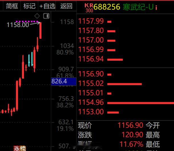 寒武纪就是一个未知，真不知道它能涨到哪里寒武纪a股​​​