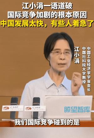 江小涓点破了西方舆论为什么泼脏水，过去我们是勤勤恳恳做衬衫、玩具，几亿件才能换人