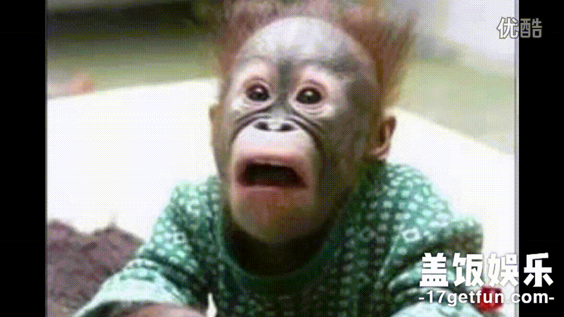 小伙伴们都惊呆了