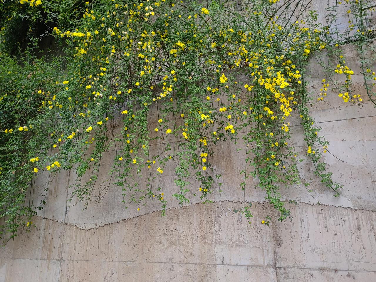 一同学说笑话，很富人生哲理。小时候太穷，怕长大娶不上媳妇，只好努力考大学。大