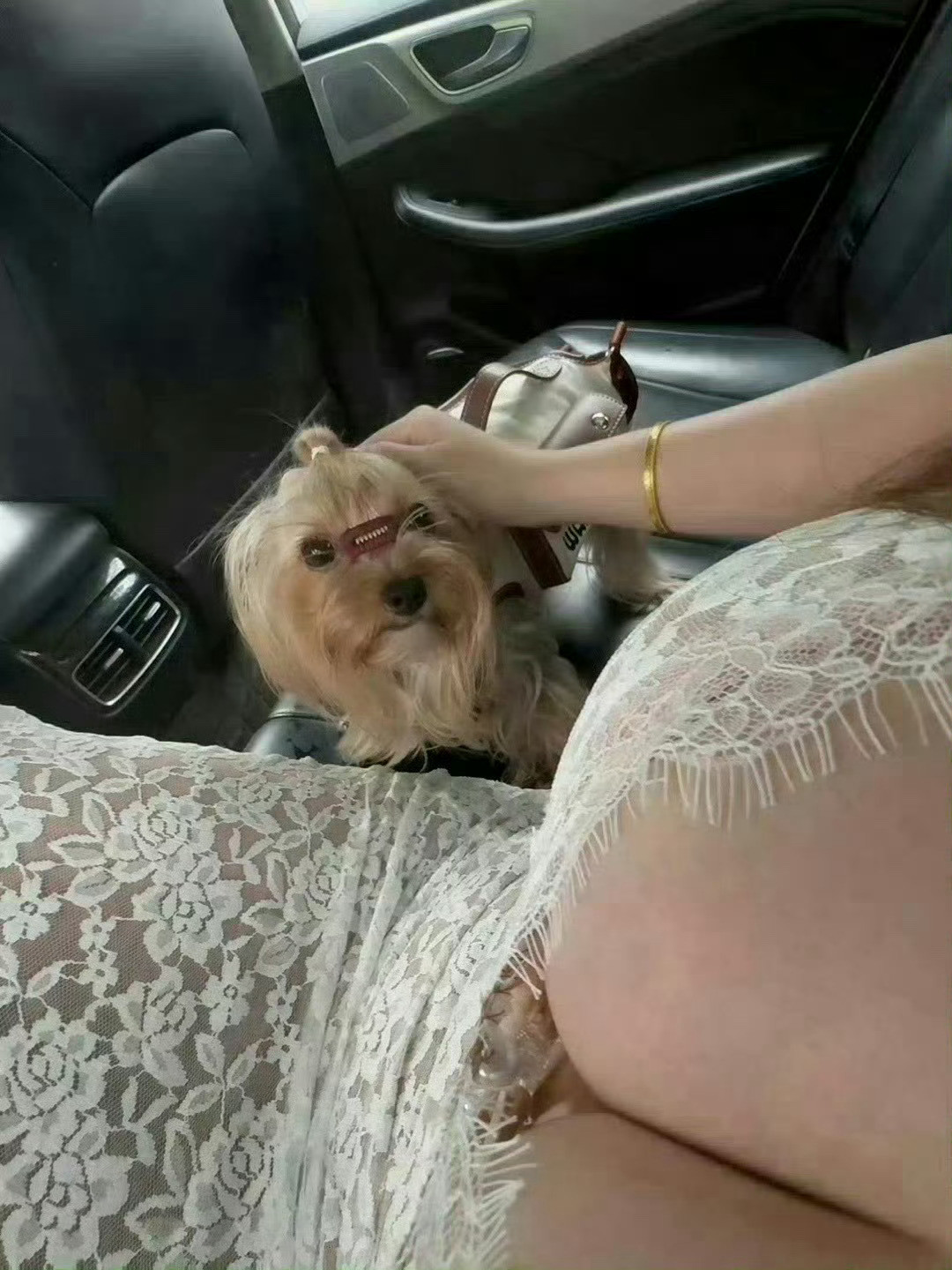 有个大雷女朋友是一种什么样的体验？