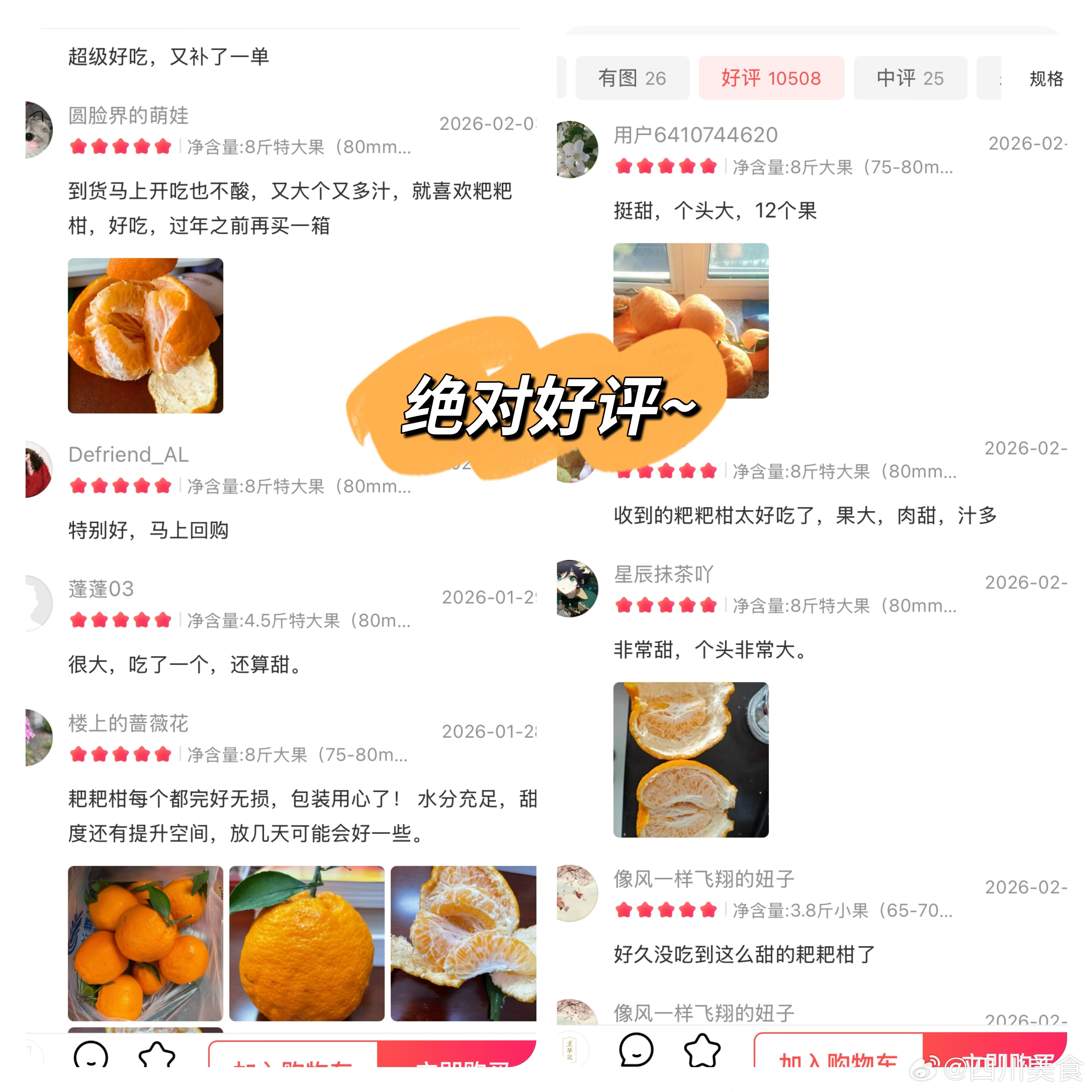 蒲江耙耙柑最佳赏味，果期还有不到一个月，甜度可以汁水也足，不打糖自然熟，蒲江果园