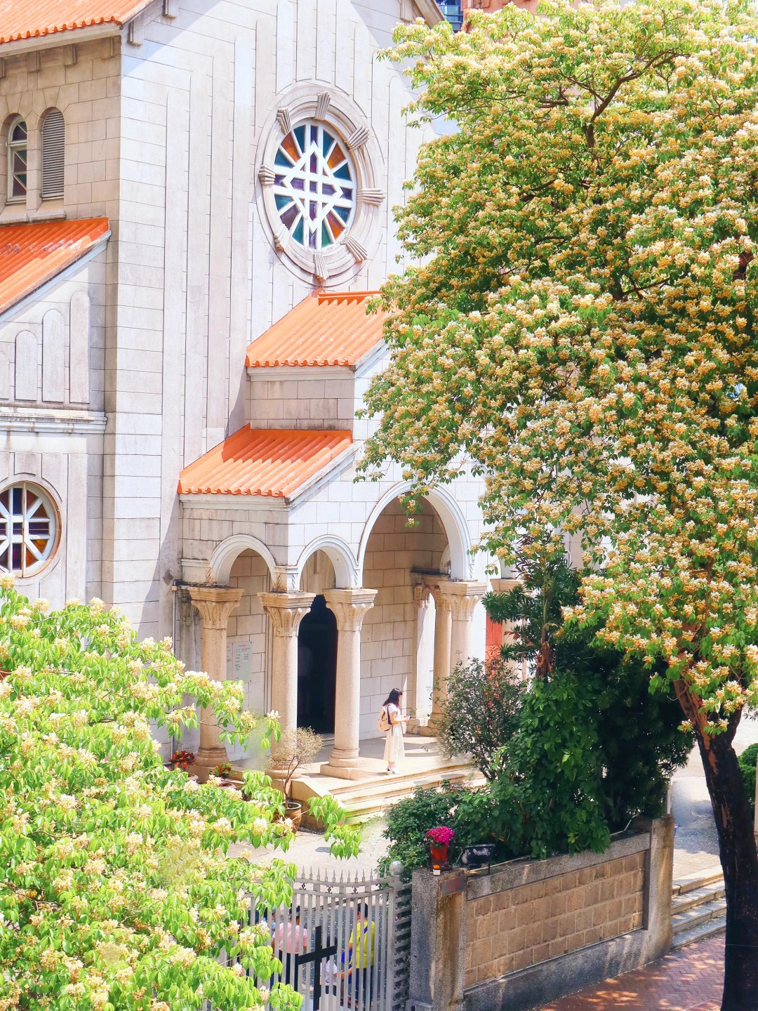 📍香港·接下來的旺角·是這樣的春和景明😍