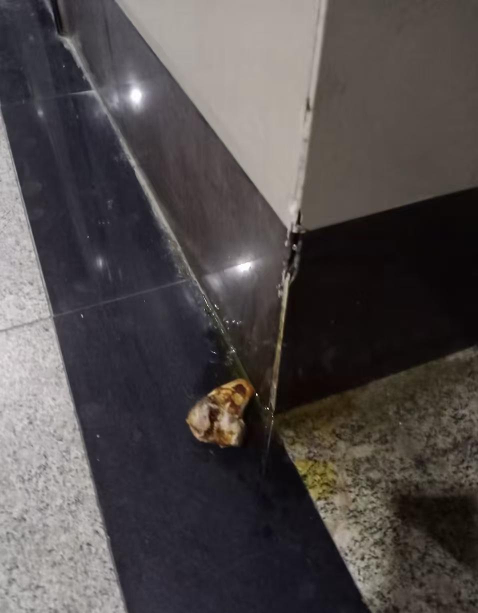 为什么小区里面养狗的人招人烦那?看看我发的图片内容大家就明白了。烦的从来不是狗，