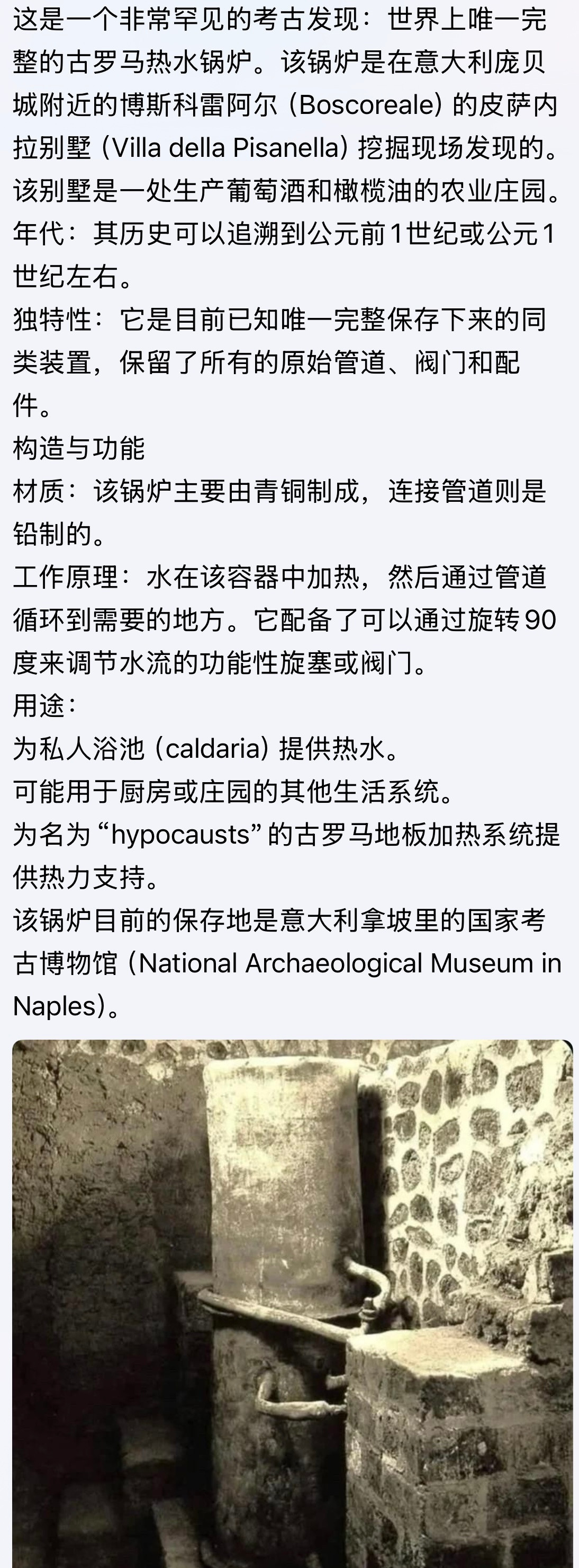 这是一个非常罕见的考古发现：世界上唯一完整的古罗马热水锅炉。。。考古发现古罗马