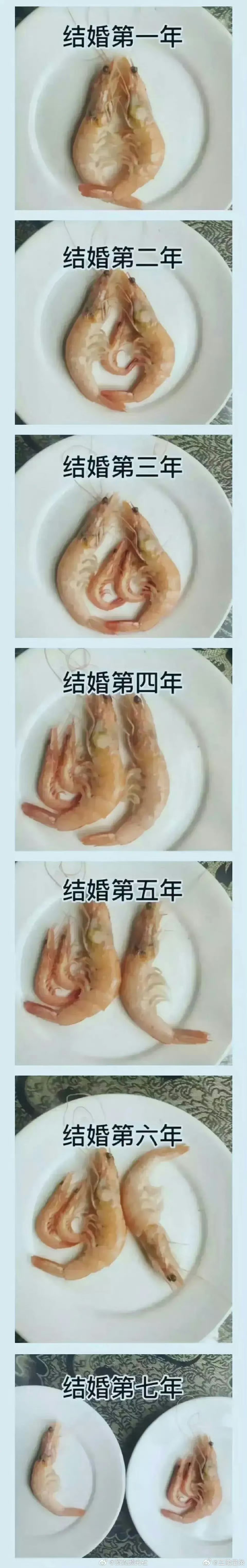 看到最后笑出声，实在太形象了​。​​​​