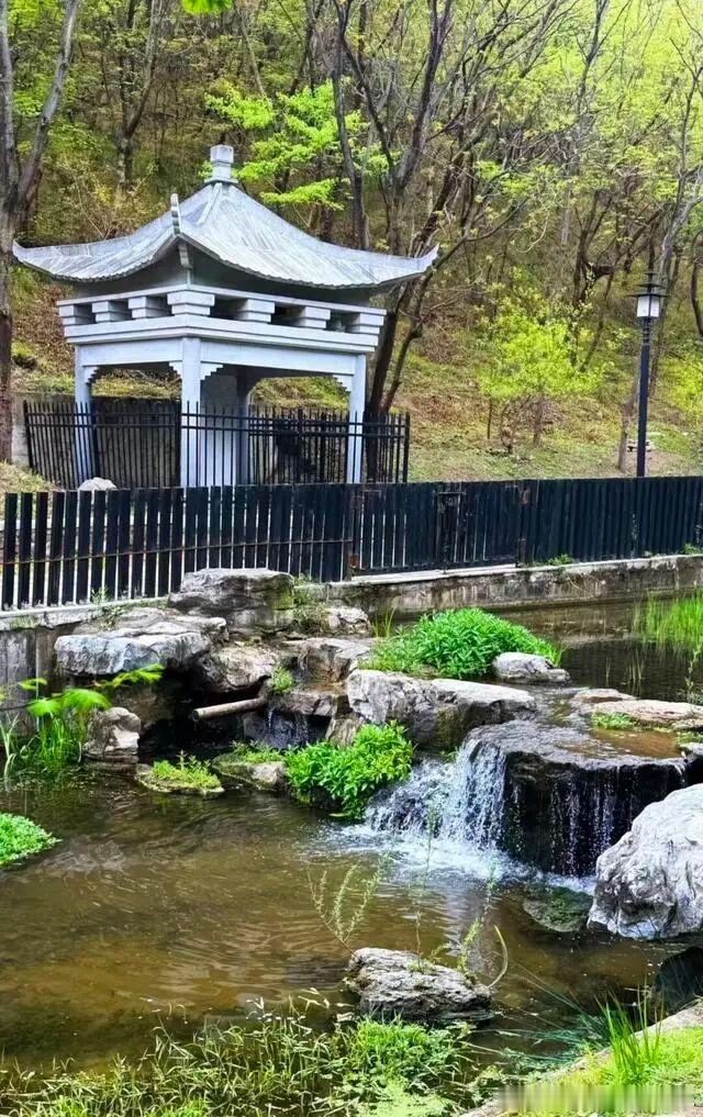北京夏日避暑宝藏地被我挖到！房山白水寺森林公园堪称城市天然空调房🌿茂密水杉林隔