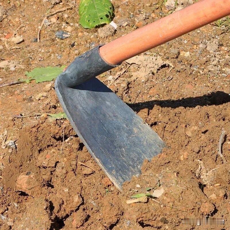 失业了可以干点什么?回农村种地我觉得真的不错大家怎么觉得