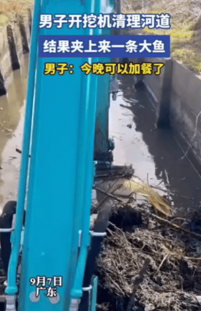万万没想到！9月7日，广东，一男子开挖掘机清理河道，正捞泥呢，结果捞着捞着，突然