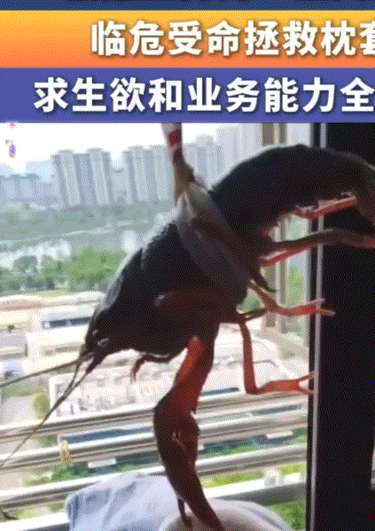 安徽，一女子晾在窗户上的枕套，不慎掉到了楼下晾衣架上，这不高不低的位置女子是想捡