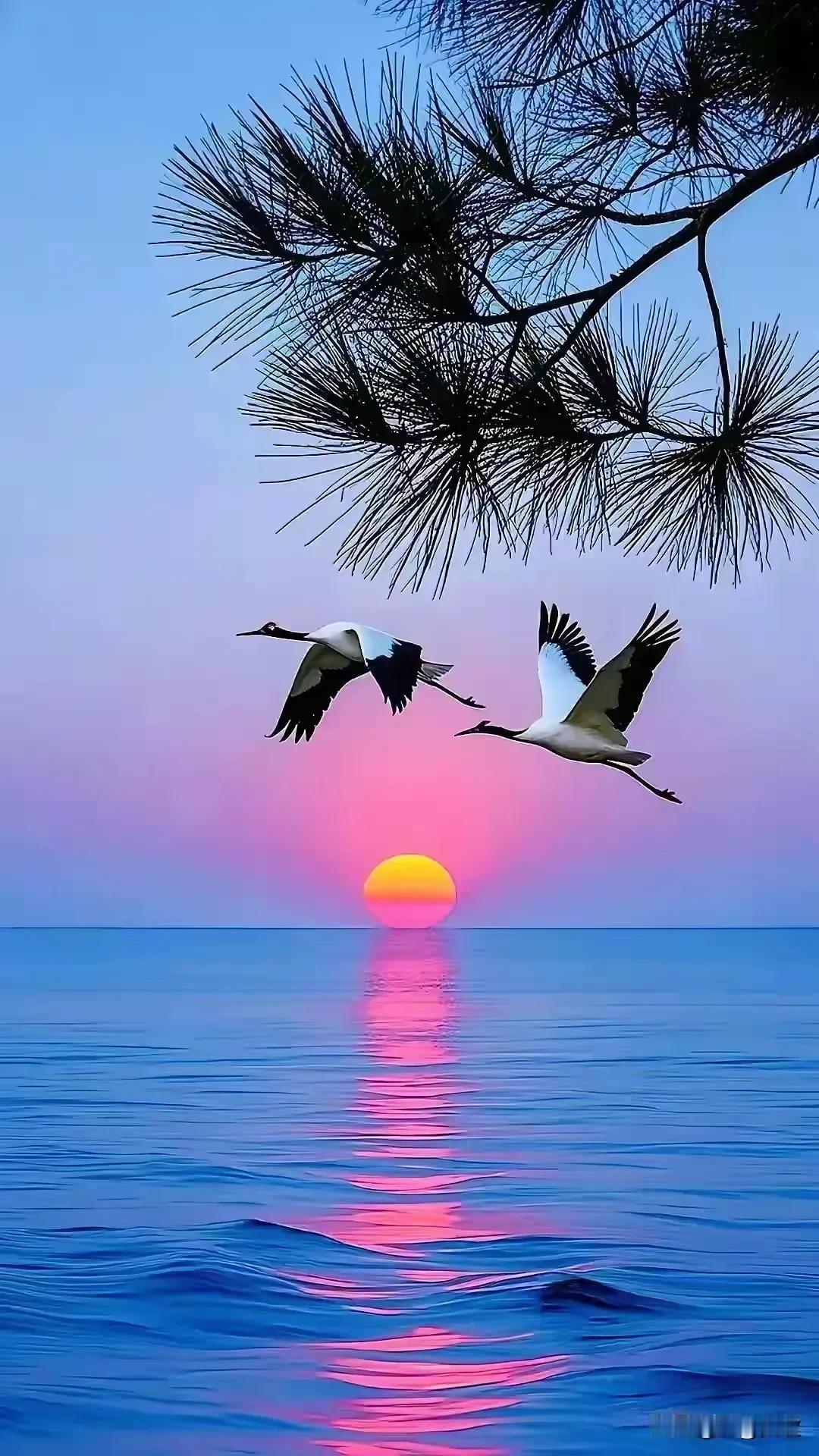 上联:满庭芳菊赏秋色下联:几行雁字写长天横批:天高云淡