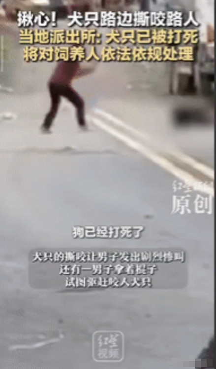 “必须严惩！”湖南一男子在路上突然被窜出来的恶犬疯狂撕咬，这时，被路过的老人发现