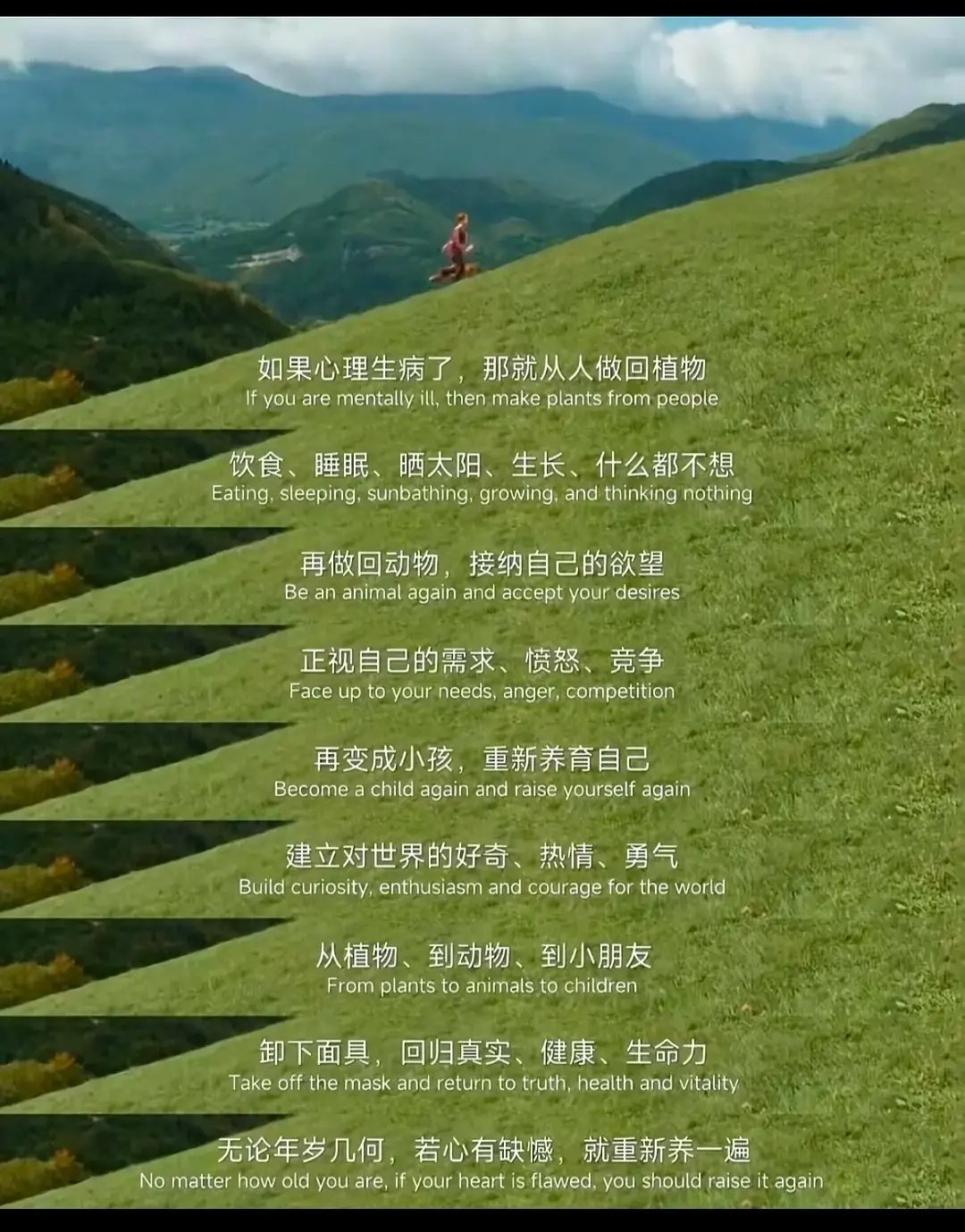 如果你的精神状况不好，那么可以尝试让自己不要做人，而是去做一个植物，也许可以治愈