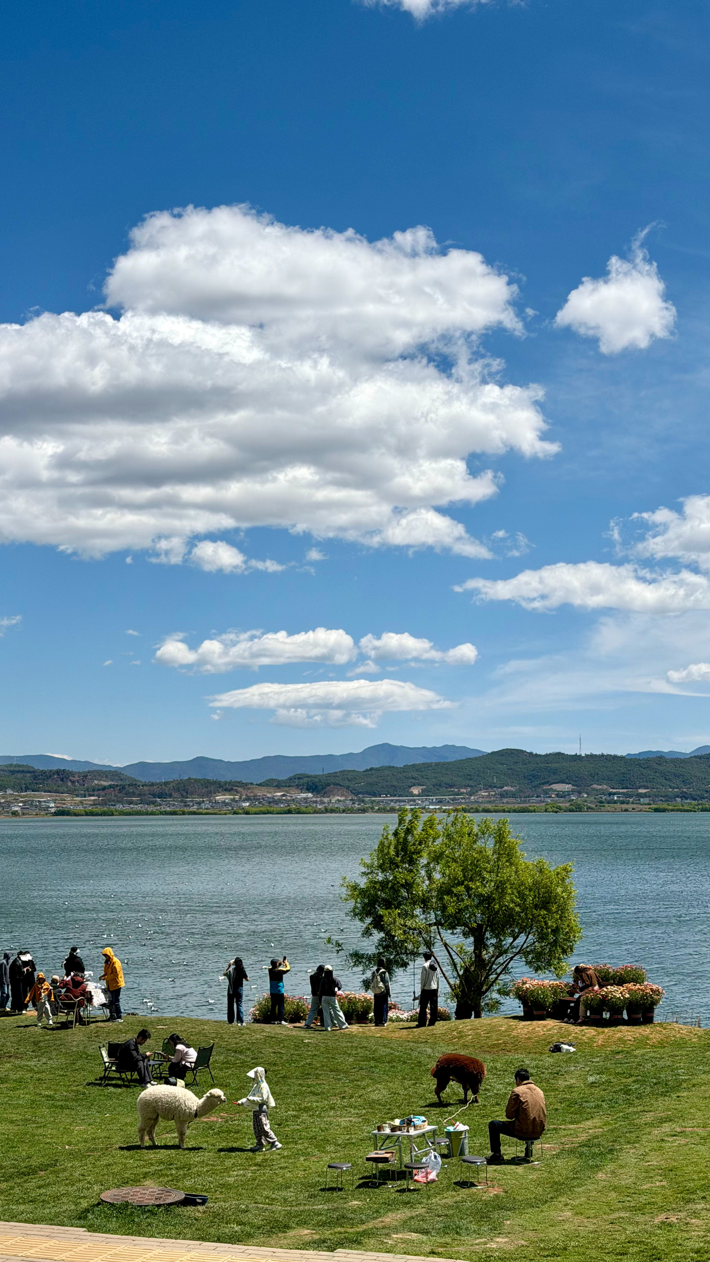 云南4月出行方案：丽江大理7天6晚品质游，直接爽翻！【行程安排】第一天：丽江落地