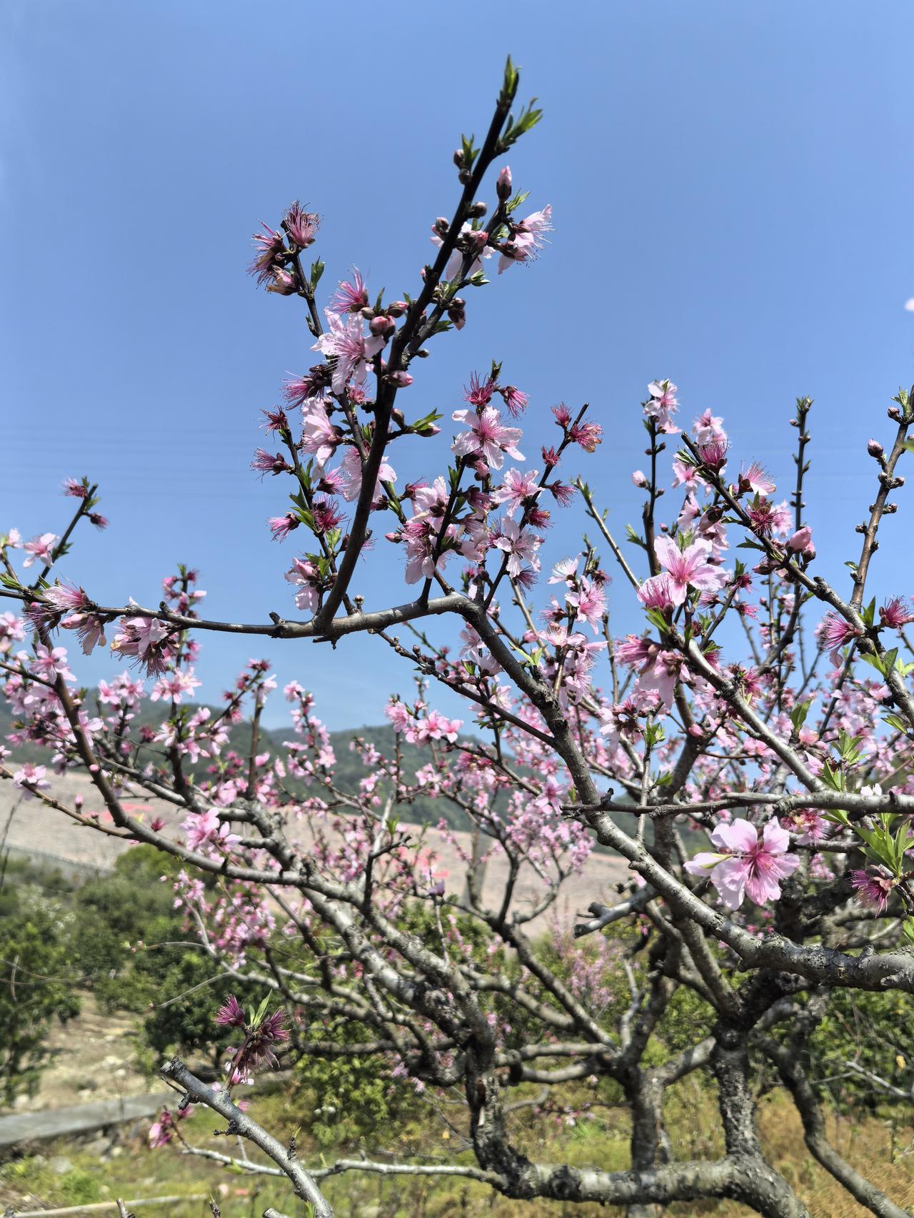 九十岁的婆婆学会了网银转账一早接到婆婆的电话，说她孙子没接电话，让